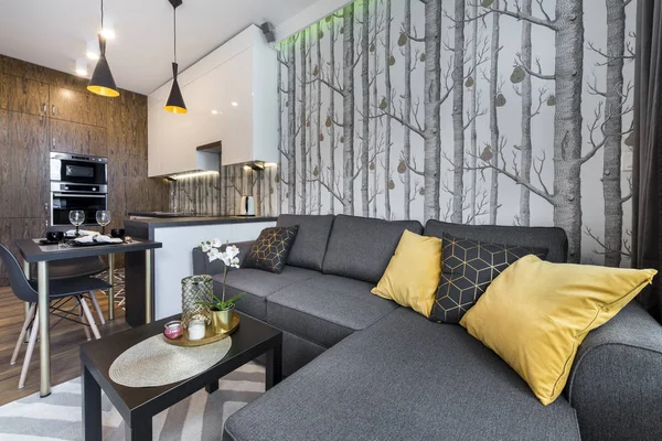 Design de interiores moderno pequeno apartamento — Fotografia de Stock