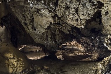 Demanovska özgürlük mağara, Slovakya.