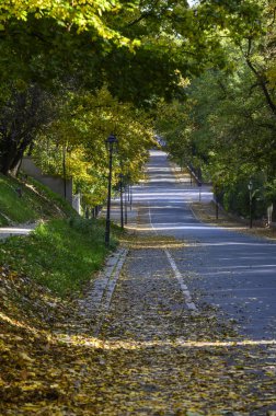 Varşova 'daki Lazienki Krolewskie parkında boş bir sokak