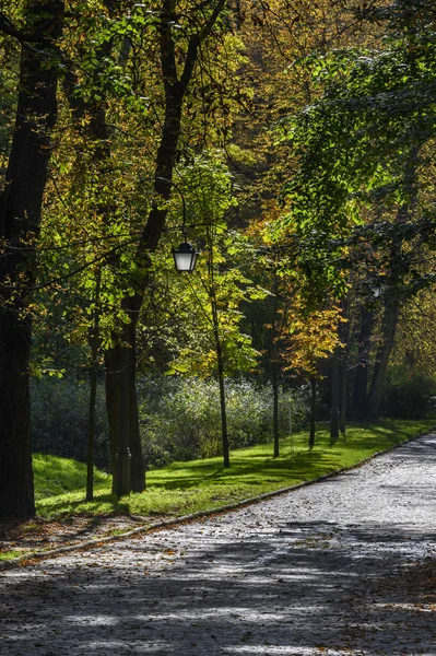 Strada vuota nel parco Lazienki Krolewskie a Varsavia — Foto Stock