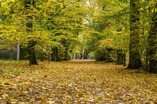 Französischer Garten im Palast von Nieborow — Stockfoto