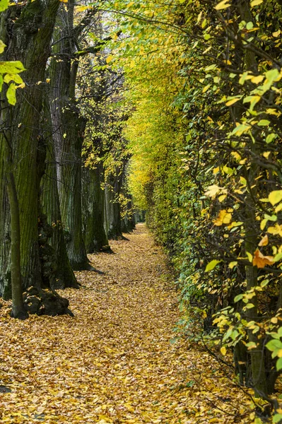 Französischer Garten im Palast von Nieborow — Stockfoto