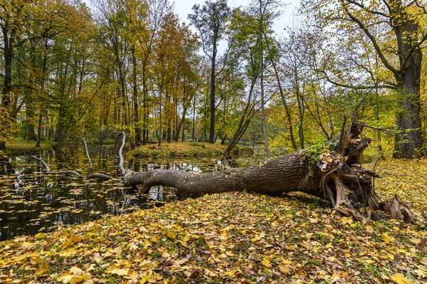 Исторический парк Аркадия недалеко от Неборова — стоковое фото