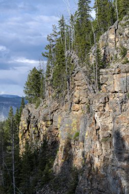 Yellowstone 'da Sırt Düzeni 