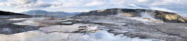 Üst Teras Mamut Kaplıcaları, Yellowstone