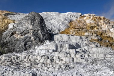 Aşağı Teras Mamut Kaplıcaları, Yellowstone