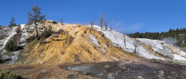 Aşağı Teras Mamut Kaplıcaları, Yellowstone