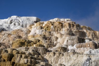Aşağı Teras Mamut Kaplıcaları, Yellowstone