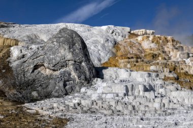Aşağı Teras Mamut Kaplıcaları, Yellowstone