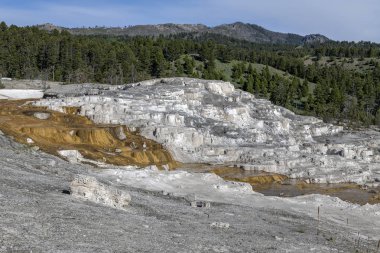 Aşağı Teras Mamut Kaplıcaları, Yellowstone