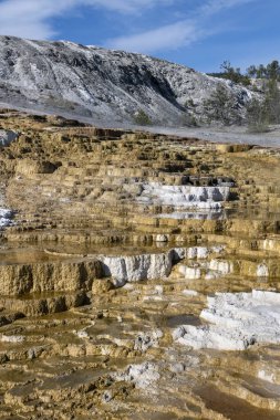 Aşağı Teras Mamut Kaplıcaları, Yellowstone