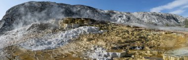 Aşağı Teras Mamut Kaplıcaları, Yellowstone