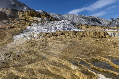 Aşağı Teras Mamut Kaplıcaları, Yellowstone