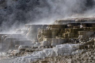 Aşağı Teras Mamut Kaplıcaları, Yellowstone