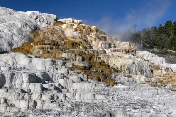 Untere Terrasse Mammut-Thermalquellen, Yellowstone — Stockfoto