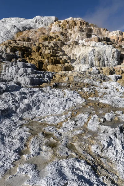 Untere Terrasse Mammut-Thermalquellen, Yellowstone — Stockfoto