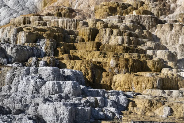 Горячие источники нижней террасы Mammoth, Йеллоустон — стоковое фото