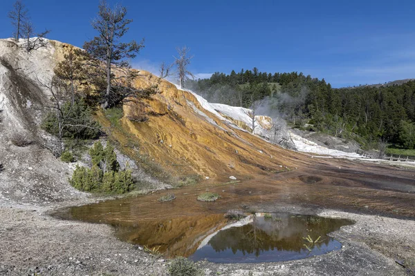 Beneden Terras Mammoet Hot Springs, Yellowstone — Stockfoto