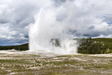 Old faithful Şofben yellowstone Milli Parkı