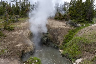 Yellowstone 'daki Hayden Vadisi Gayzer Havzasında Çamur Volkanı