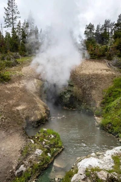 Schlammvulkan auf dem Geysir-Becken im Heutal im Yellowstone — Stockfoto