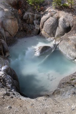 Yellowstone 'daki Norris Gayzer Havzası 