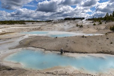 Yellowstone 'daki Norris Gayzer Havzası 