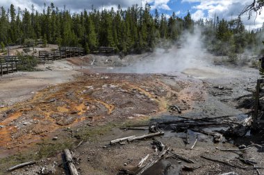 Echinus Gayzer, Arka Havza, Yellowstone Ulusal Parkı