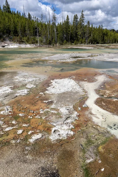 Crackling Lake, Фарфоровый бассейн, Йеллоустон — стоковое фото