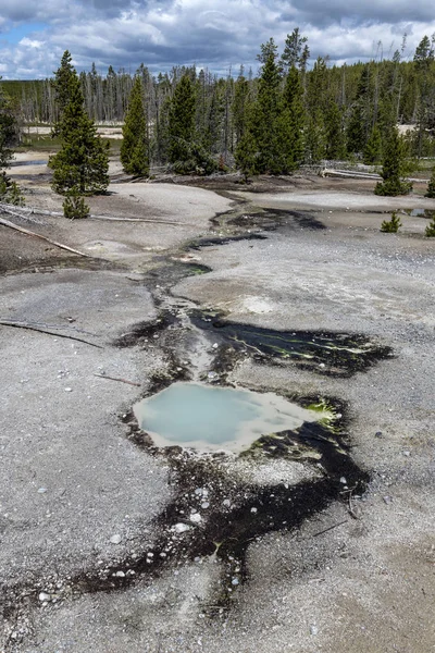 Cuenca trasera, Cuenca Norris Geyser, Yellowstone — Foto de Stock