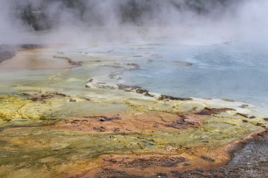 Yellowstone Nat 'deki büyük prizmatik bahar bölgesinde Geysir.