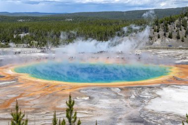 Yellowstone Nat 'deki büyük prizmatik bahar bölgesinde Geysir.