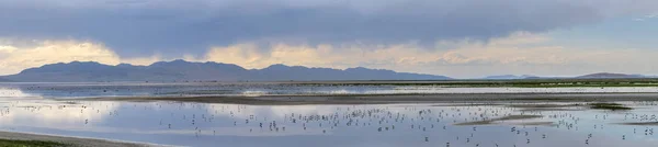 Panorama of Antelope Island State Park — Stock Photo, Image