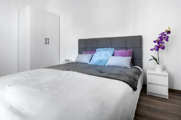 Diseño Moderno Dormitorio Interior Con Cama Acogedora Gris — Foto de Stock