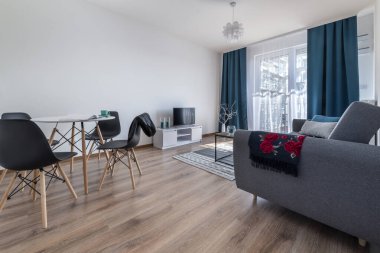 İskandinav tasarım mobilyaları olan modern oturma odası.