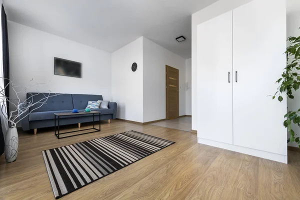 Modernt Vardagsrum Med Skandinaviska Designmöbler — Stockfoto