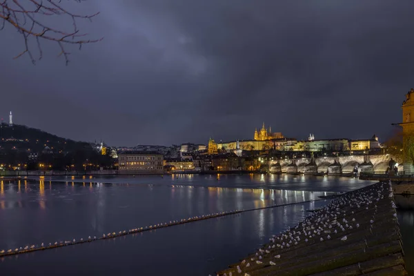 Aydınlatılmış Prag Şatosu Prazsky Hrad Gece Manzarası Çek Cumhuriyeti Nin — Stok fotoğraf