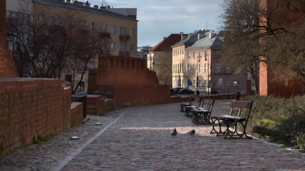 Warsaw Polonia Marzo 2020 Strade Vuote Della Città Vecchia Varsavia — Video Stock