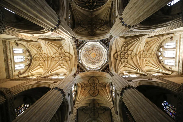 Noua Catedrală din Salamanca — Fotografie, imagine de stoc