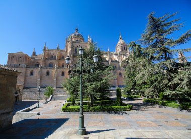 yeni bir katedral Salamanca, İspanya