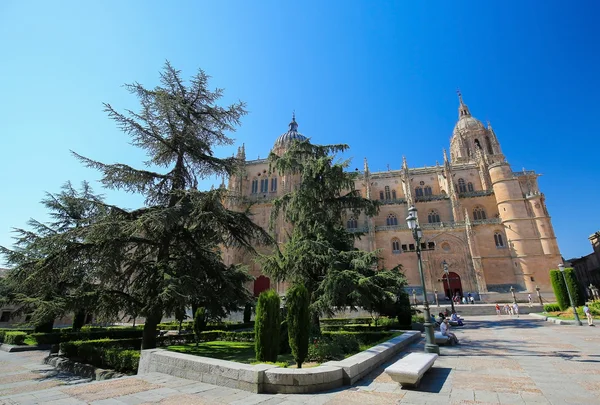 Neue kathedrale von salamanca, spanien — Stockfoto