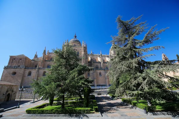 yeni bir katedral Salamanca, İspanya