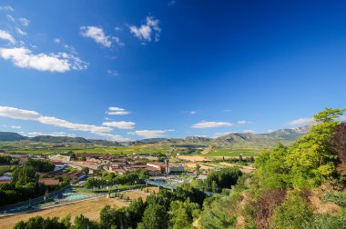 Üzüm bağları Haro, La Rioja, Spain