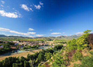 Üzüm bağları Haro, La Rioja, Spain