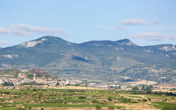 Vingårdar i Haro, La Rioja, Spanien — Stockfoto