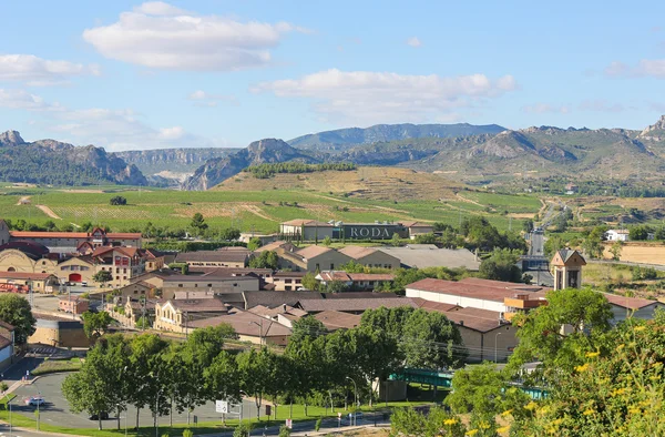 Vinice v Haro, La Rioja, Španělsko — Stock fotografie