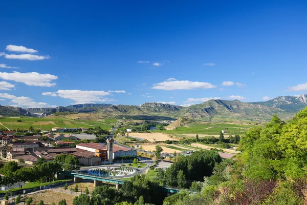 Wijngaarden in Haro, La Rioja, Spanje — Stockfoto