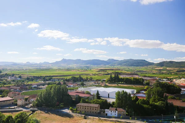 Vigneti a Haro, La Rioja, Spagna — Foto Stock