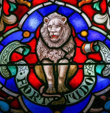 Aslan, gücünü - vitray Mechelen katedral içinde sembol