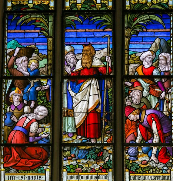 Moïse - Vitrail dans la cathédrale de Malines — Photo